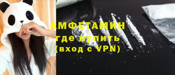 сатива Аркадак