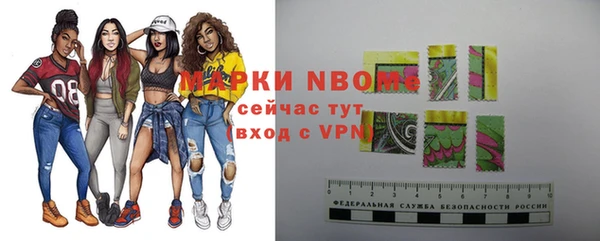 сатива Аркадак