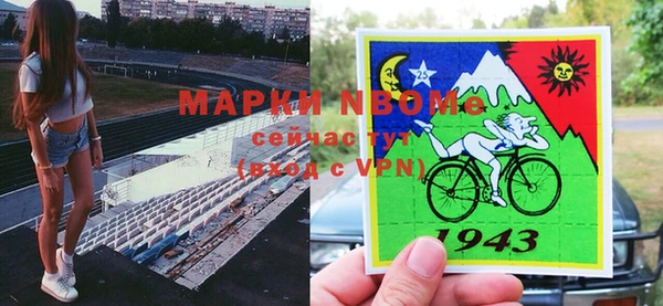 сатива Аркадак
