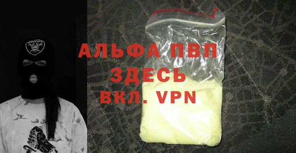 сатива Аркадак