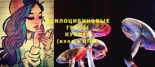 сатива Аркадак