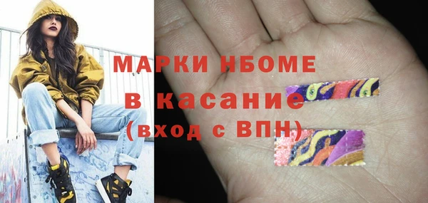 сатива Аркадак