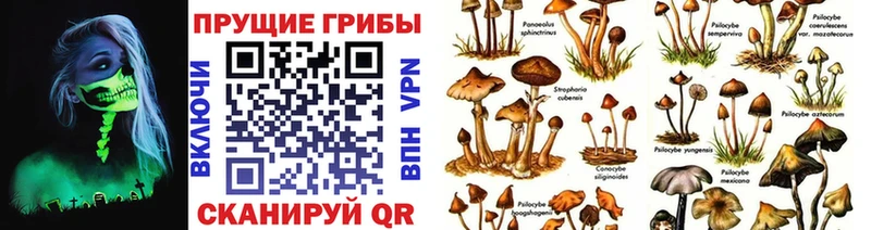 Галлюциногенные грибы мицелий  Малоархангельск 
